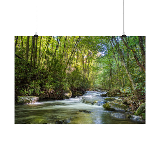 Great Smoky Mountains, Tennessee - Matte Poster