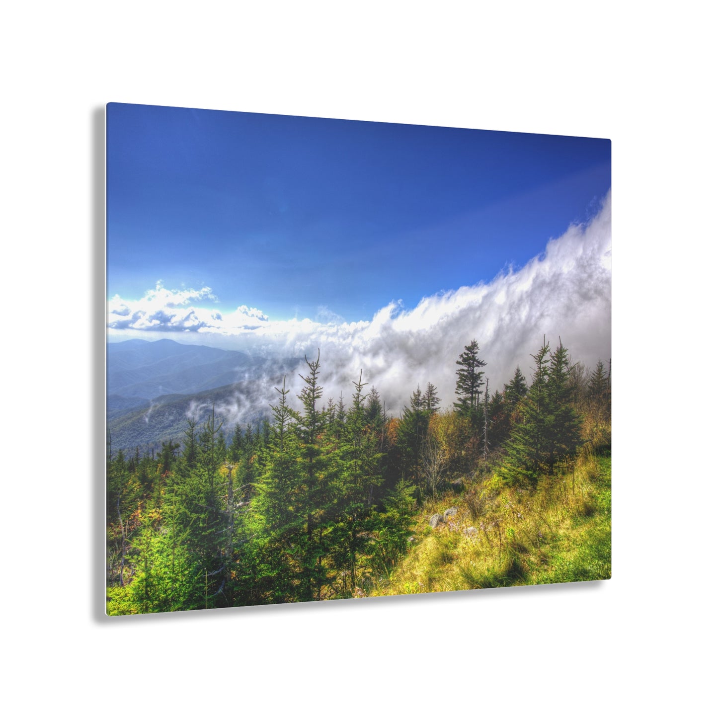 Acrylic Print - Great Smoky Mountains, Tennessee